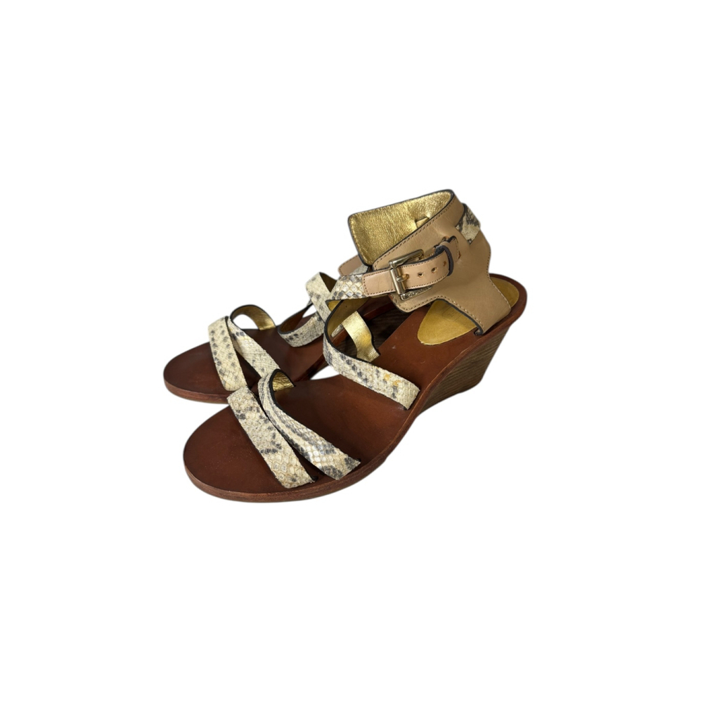 Women’s Coach Prue Snake Embossed Wedges